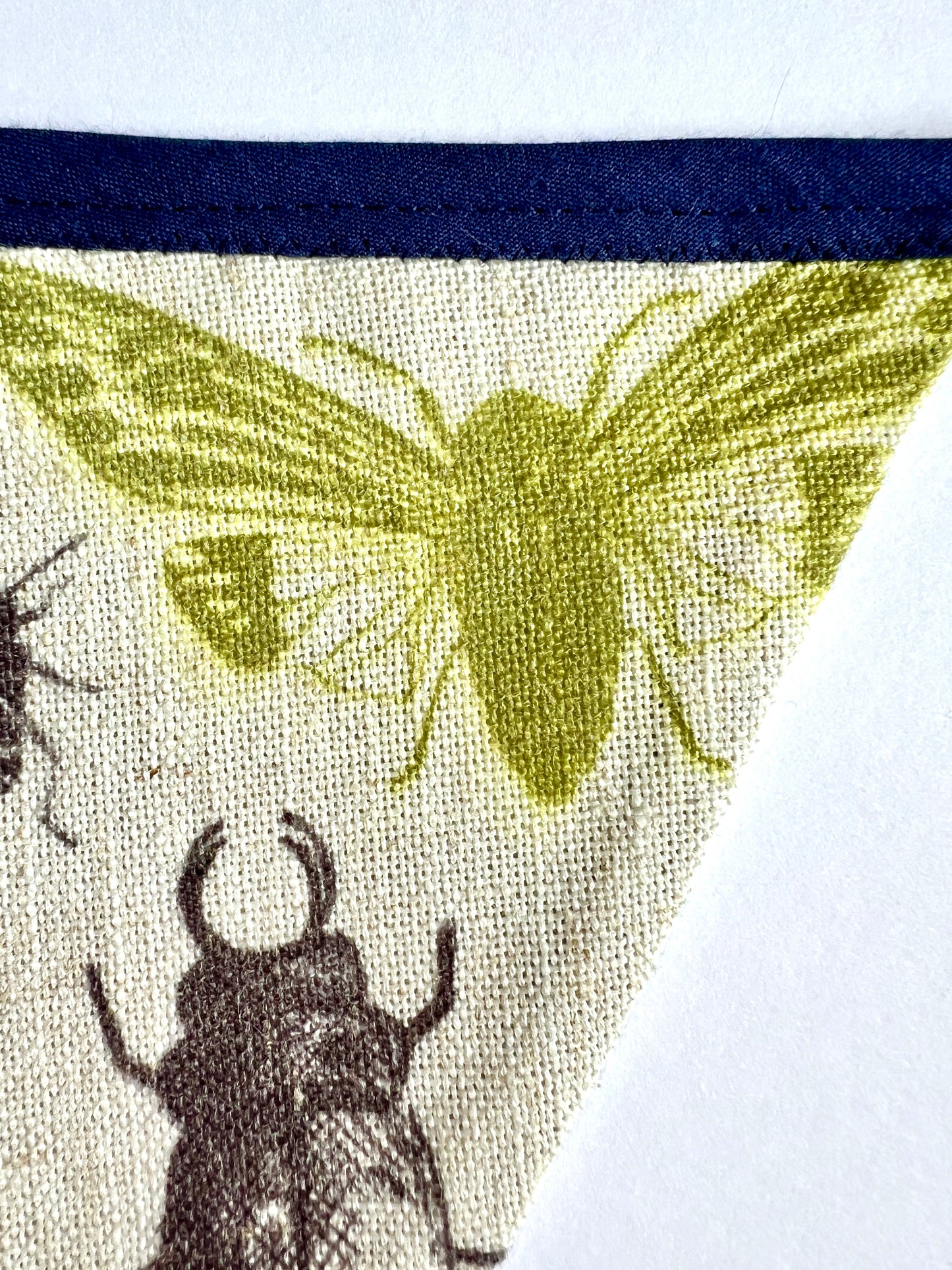 Insect Bunting