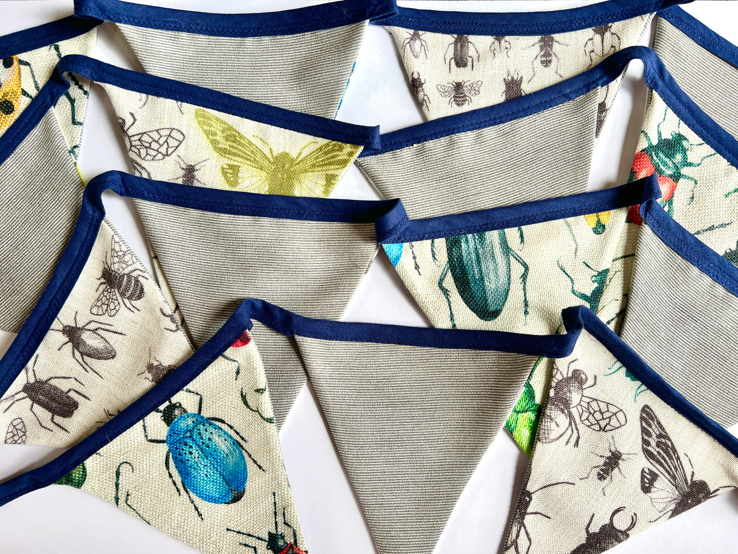 Insect Bunting