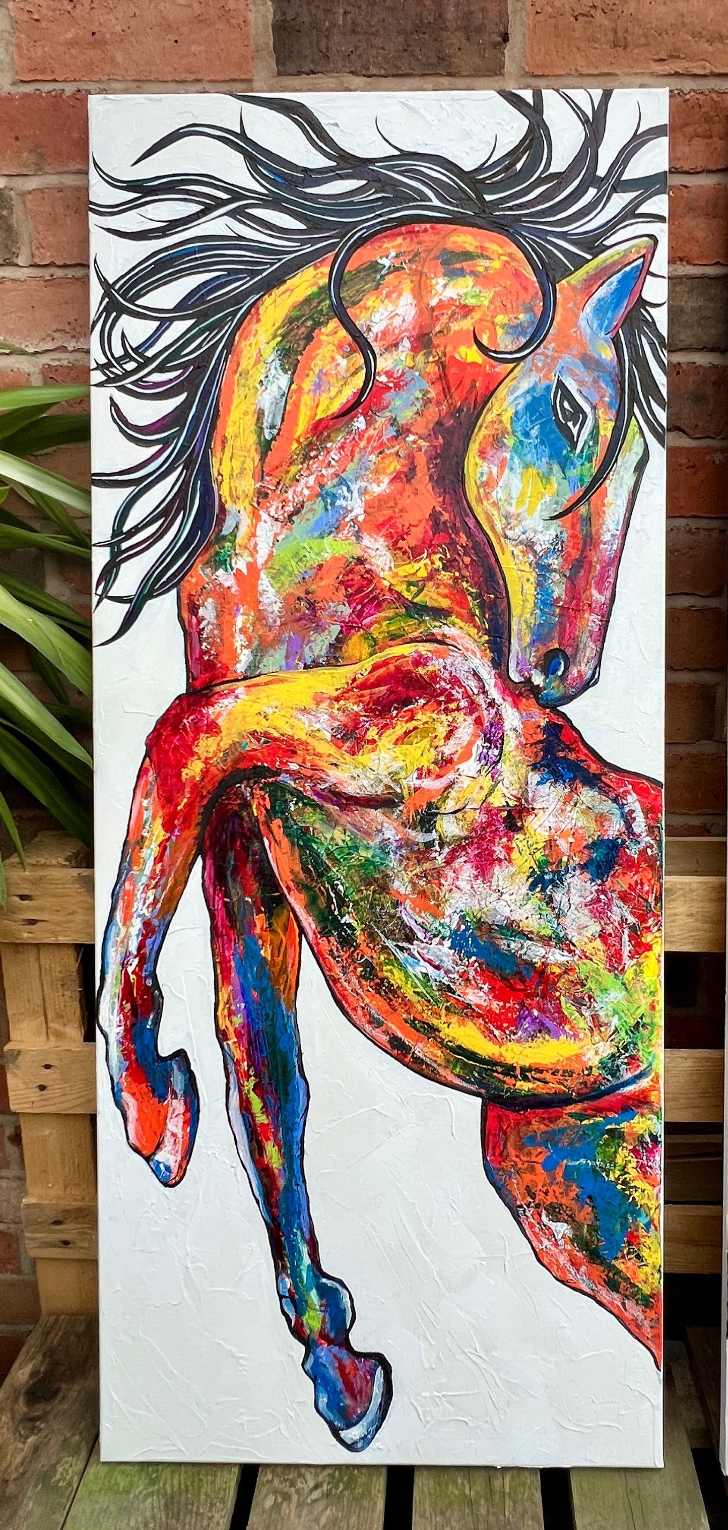 Kim's Horses
